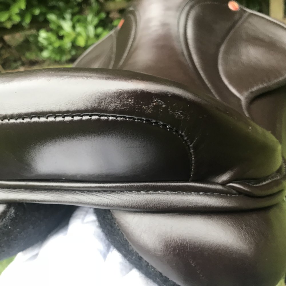 Saddle Company saddles all sizes and models as well as many other good ...